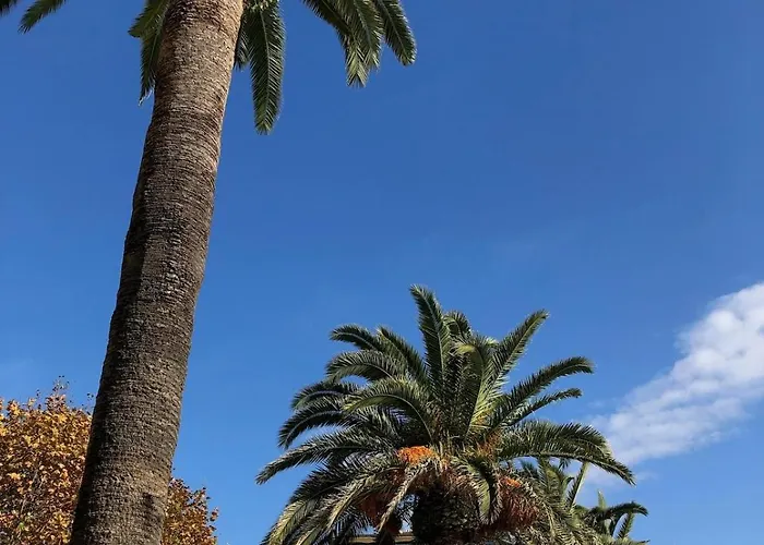 Loft Place Du Diamant Hyper Centre 50m Ajaccio (Corsica)