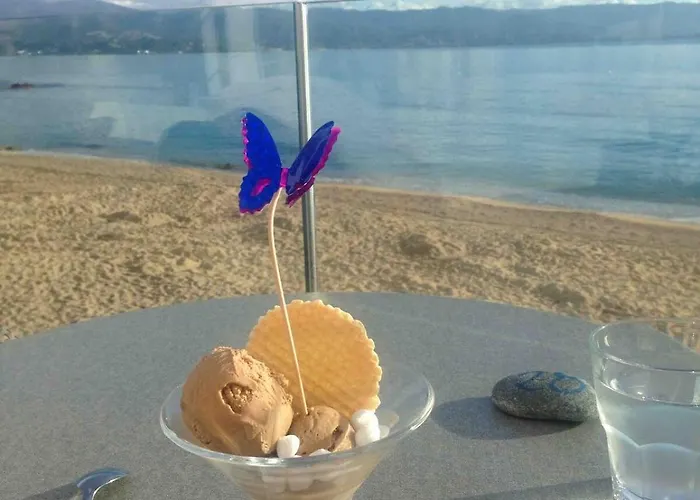 Loft Place Du Diamant Hyper Centre 50m Ajaccio (Corsica)