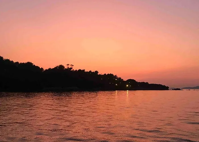 Loft Place Du Diamant Hyper Centre 50m Appartement *