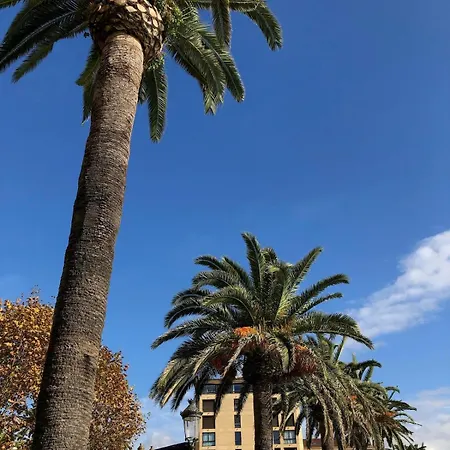 Loft Place Du Diamant Hyper Centre 50m Ajaccio (Corsica)