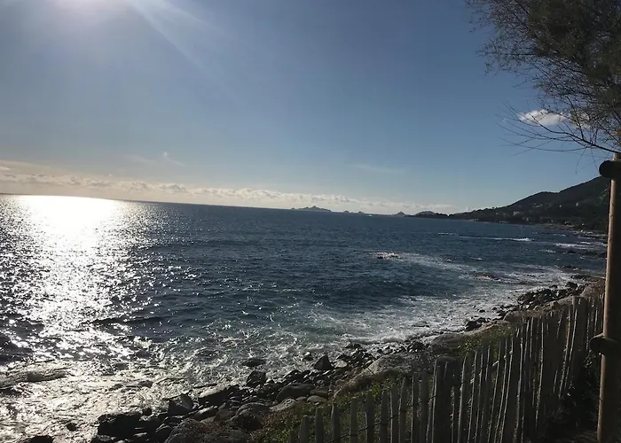 Loft Place Du Diamant Hyper Centre 50m Apartment *